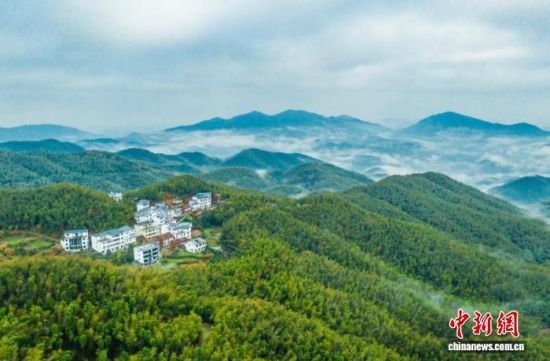 ͼΪ�����ϲ�÷�����ɭ�ֹ�԰��(����ͼ) �ϲ�����ҵ�ֹ�ͼ