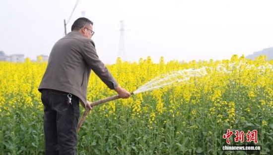 ͼΪ�ڽ���ʡ®ɽ�л����򻢿ڳ�壬�����κ�����ô������������ˮ�����Ͳ����®ɽ����ý�����Ĺ�ͼ