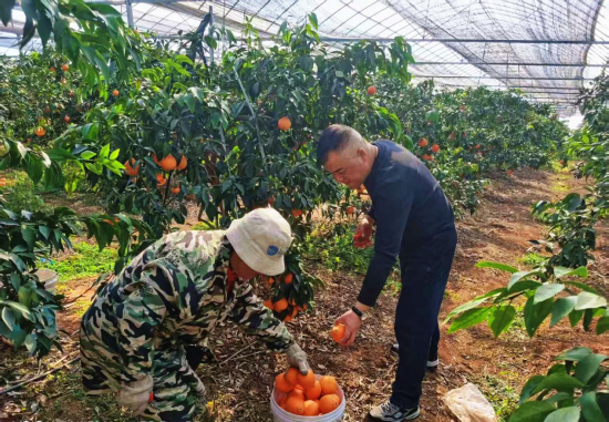 ͼΪ����ǰ��������ժ������