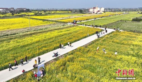 ���߲��Ͳ˻�����������ο͡�����������ý�����Ĺ�ͼ