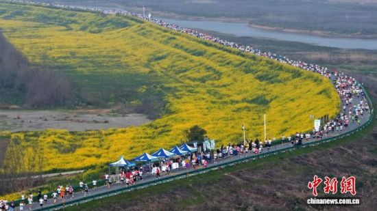 ͼΪ2026�ϲ�۶������������ɱ����ֳ����ϲ���������ý�����Ĺ�ͼ