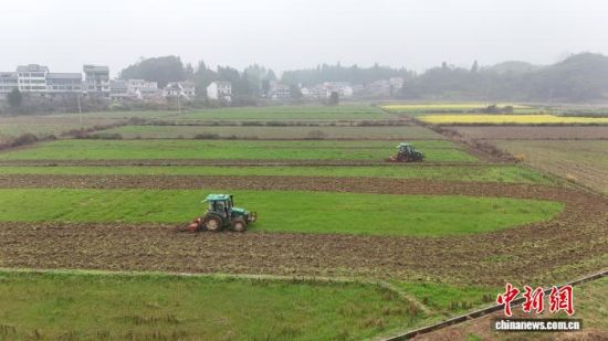 图为在江西省九江市修水县四都镇,农户们正忙着翻耕田块。修水县融媒体中心供图 图为在江西省九江市修水县四都镇,农户们正忙着翻耕田块。修水县融媒体中心供图