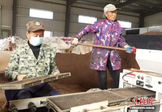 图为安福县甘洛乡洛丰农业农事服务中心内,农户们在各自岗位上忙碌。 安福县委统战部供图 图为安福县甘洛乡洛丰农业农事服务中心内,农户们在各自岗位上忙碌。 安福县委统战部供图