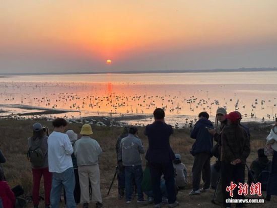 2025年12月1日,在江西省永修县吴城镇狮子山观鸟点,游客正在岸边观察候鸟的一举一动。(资料图)李韵涵 摄 2025年12月1日,在江西省永修县吴城镇狮子山观鸟点,游客正在岸边观察候鸟的一举一动。(资料图)李韵涵 摄