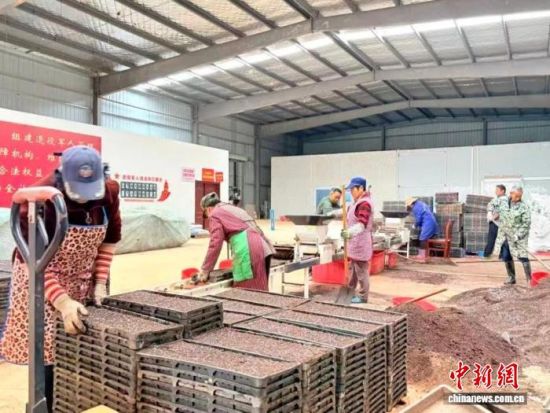 ͼΪ�������Ĺ����ֳ�������ɽ��ίͳս����ͼ