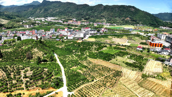 九江西海柑橘基地基础设施建设项目全景图 九江西海柑橘基地基础设施建设项目全景图