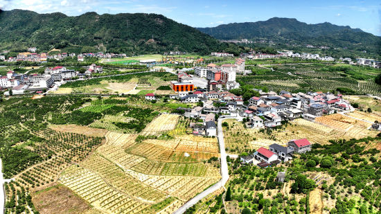 九江西海柑橘基地基础设施建设项目全景图 九江西海柑橘基地基础设施建设项目全景图