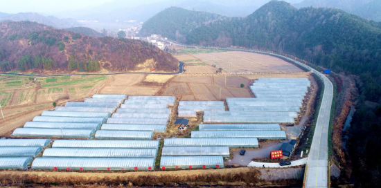 图为乔亭村果蔬大棚种植基地错季种植高效经济作物。 彭泽县融媒体供图. 图为乔亭村果蔬大棚种植基地错季种植高效经济作物。 彭泽县融媒体供图.
