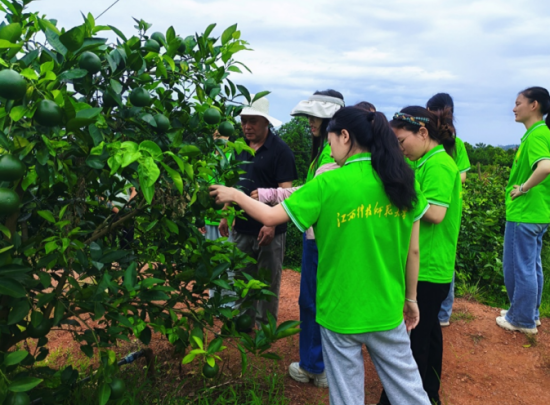 实践队在富硒西柚种植基地向技术员了解果树种植情况 邱俐供图.png 实践队在富硒西柚种植基地向技术员了解果树种植情况 邱俐供图.png
