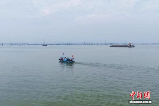 图为在江西省九江市湖口县,江豚协助巡护队开展日常巡护工作。王林华 摄2 图为在江西省九江市湖口县,江豚协助巡护队开展日常巡护工作。王林华 摄2