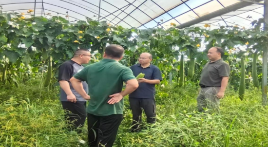 ������У����ľ�������ڰ��ѧԱ˿������ؿ�չָ��