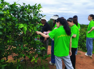 实践队在富硒西柚种植基地向技术员了解果树种植情况 邱俐供图 实践队在富硒西柚种植基地向技术员了解果树种植情况 邱俐供图