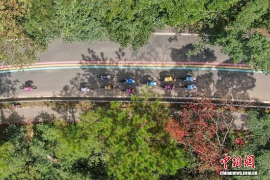 9月21日,江西赣州安远县,选手经过三百山的盘山公路。当日,2026第十四届环鄱阳湖国际自行车大赛第二赛段比赛在安远县举行。刘力鑫 摄 9月21日,江西赣州安远县,选手经过三百山的盘山公路。当日,2026第十四届环鄱阳湖国际自行车大赛第二赛段比赛在安远县举行。刘力鑫 摄