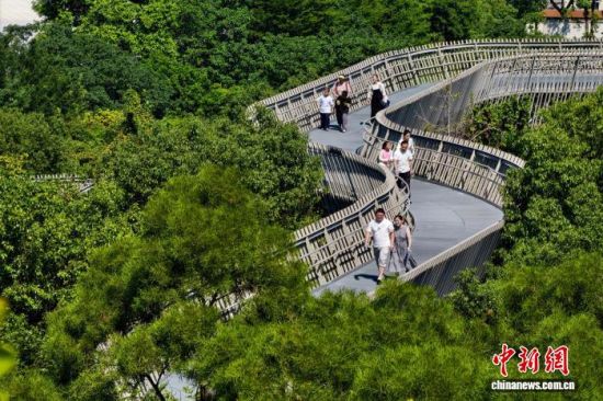 10月7日,福建福州,民众在福道游玩。国庆假期,榕城秋意渐浓,依山而建的福道上,不少市民漫步悬空栈道,穿行于层叠林木之间,饱览秋日风光。 中新社记者 王东明 摄 10月7日,福建福州,民众在福道游玩。国庆假期,榕城秋意渐浓,依山而建的福道上,不少市民漫步悬空栈道,穿行于层叠林木之间,饱览秋日风光。 中新社记者 王东明 摄
