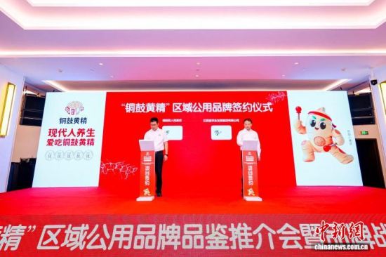 图为“铜鼓黄精”区域公用品牌品鉴推介会暨品牌战略发布会现场。铜鼓县委宣传部供图 图为“铜鼓黄精”区域公用品牌品鉴推介会暨品牌战略发布会现场。铜鼓县委宣传部供图