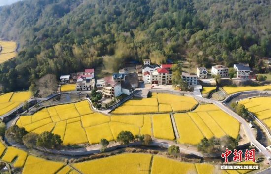 黄沙渠地处江西省上饶市广信区黄沙岭乡,图为黄沙渠局部图。(上饶市广信区水利局供图) 黄沙渠地处江西省上饶市广信区黄沙岭乡,图为黄沙渠局部图。(上饶市广信区水利局供图)