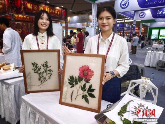 10月16日,在江西樟树“药交会”南昌健康职业技术学院展位上,中药学大三学生许悦和同学展示由芍药、卷柏等中药材封存制成的标本挂画。王剑 摄 10月16日,在江西樟树“药交会”南昌健康职业技术学院展位上,中药学大三学生许悦和同学展示由芍药、卷柏等中药材封存制成的标本挂画。王剑 摄