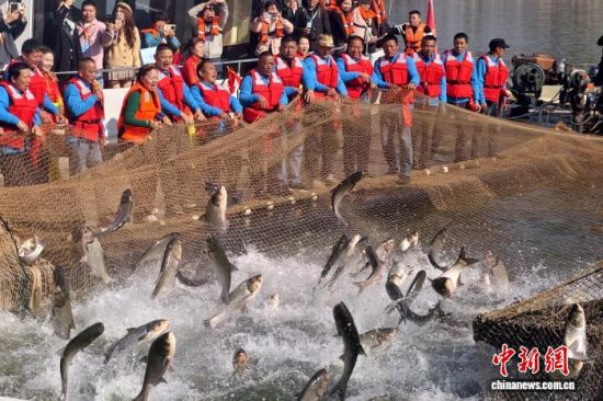 江西庐山西海起“丰”网:千鱼跃动庆冬捕