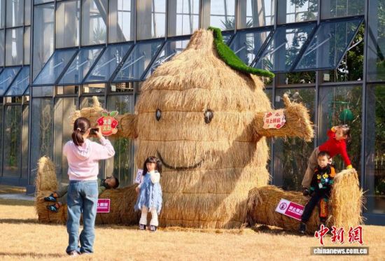 �ϲ����յ����ˡ�ֵ�ء�����ֲ��԰ ���ʹ�