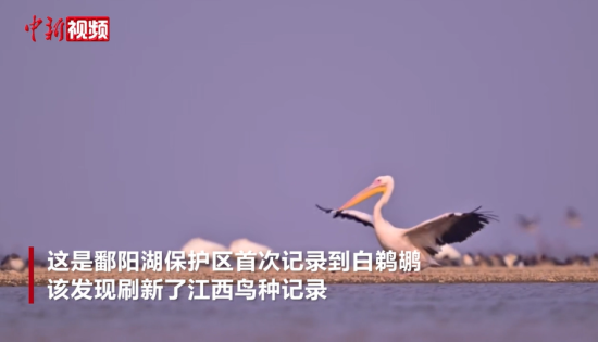 ۶�����������״μ�¼�������� ˢ�½������ּ�¼