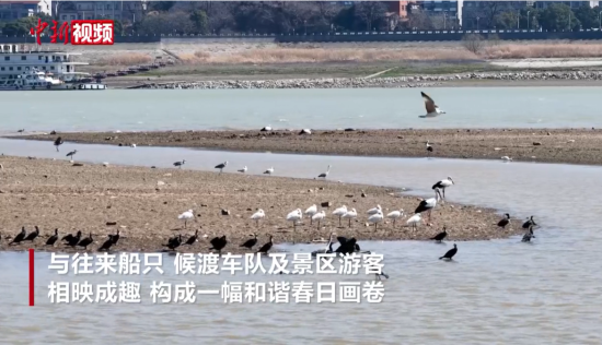 ۶�����ϴ���ů���������� ��������