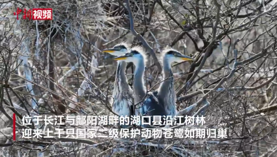 ���ع������֡�ѩ�� ۶��������ʪ�ش����续