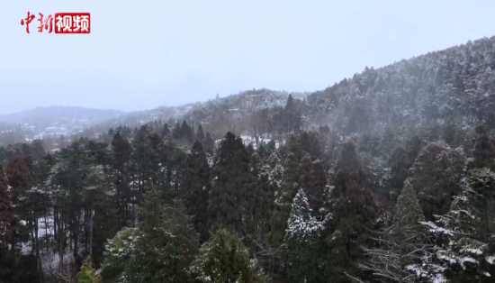 С��ʱ��®ɽӭѩ �����⾳��ˮī����