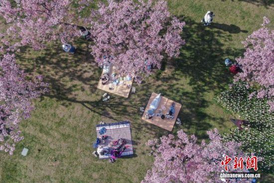 �����ϲ���˹�������ʢ��ɫ�ʰ��