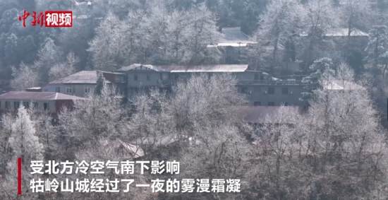 ����®ɽ���������ڡ �Ϲ�����Ũ