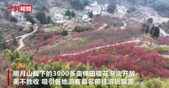 ������Ĵ������� ��������ɽӣ��ʢ��������