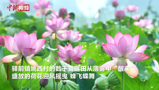 {标题
}