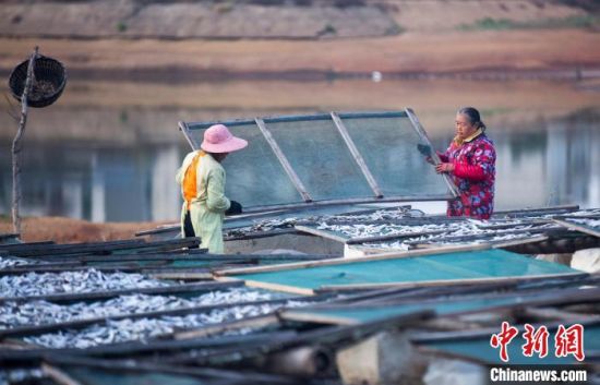 江西都昌：渔民晾晒鱼干 加工供应市场
