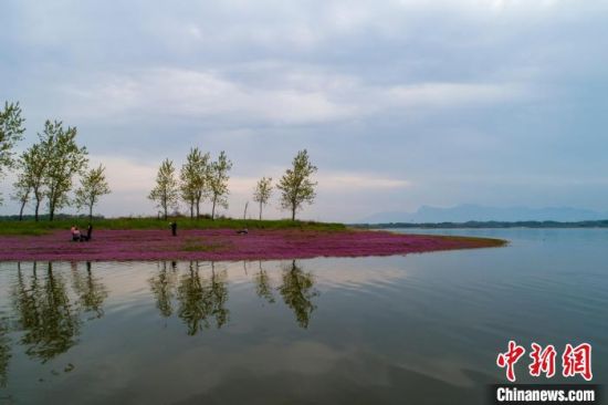 航拍春日鄱阳湖湿地风景如诗画