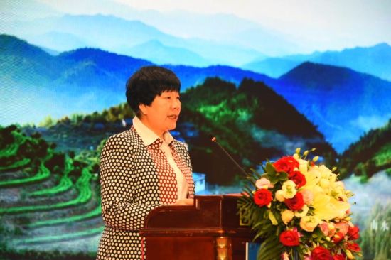 龙南经开区党工委书记,龙南县委书记缪兰英推介"三南"园区一体化发展