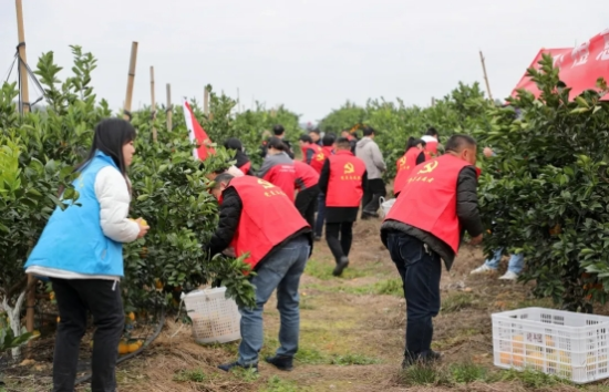 ͼΪ�߰��̲ݵ�Ա�ɲ��ڲ�ժ���