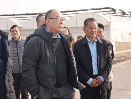 杨维才院士一行莅临南昌调研 粮油作物创新平台建设迈入实质阶段_中新网江西新闻