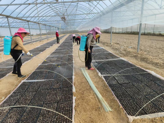 ͼΪׯ�������继���ڸ���������ˮ