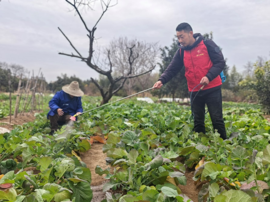 ͼΪ�����̲�־Ը�߰���ũ������ũҩ