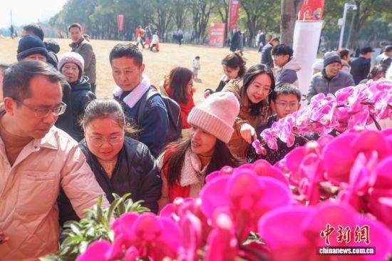 ͼΪ������ѡ�����ܡ���������� ������ ��