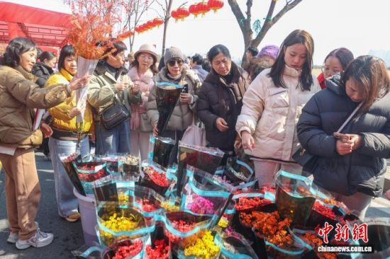 ͼΪ������ѡ�����ܡ���������� ������ ��