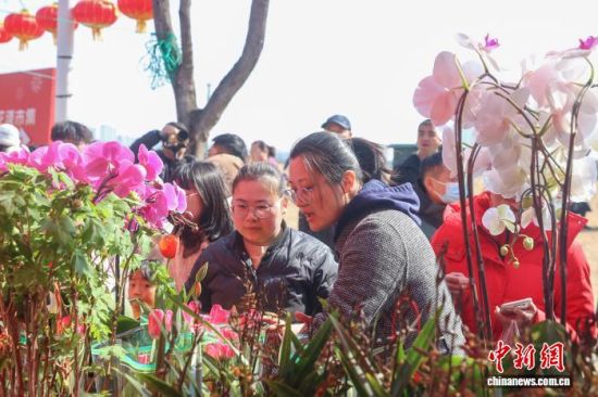 ͼΪ������ѡ�����ܡ���������� ������ ��