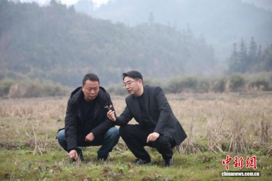 ͼΪ2026��2�£���ǿ(��)��ũ�忪չ��ҵ��չר����С��ܷ��߹�ͼ