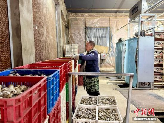 ͼΪ��λ�ڽ���ʡ�ϲ��к��̲�����ִ���ֳרҵ�������ڣ������縺���˰������ڼ�ʰ���ȵ���¬���� ��