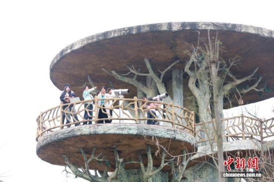 3��21�գ���������۶������Ǻ���С���ο�վ�ڹ����̨���ø߱���Զ������Զ���ĺ��񡣼�����ռ����