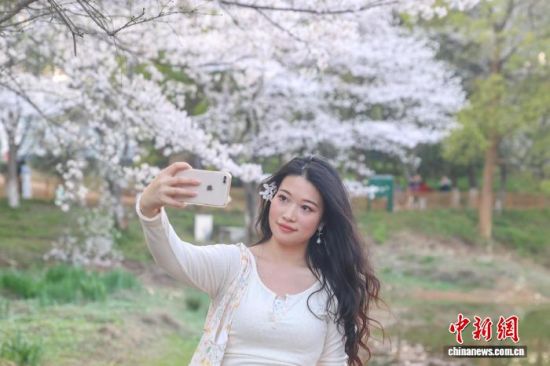 ��������� ������ ��