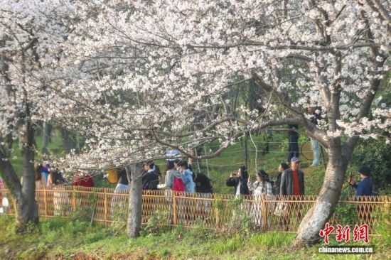 ��������� ������ ��