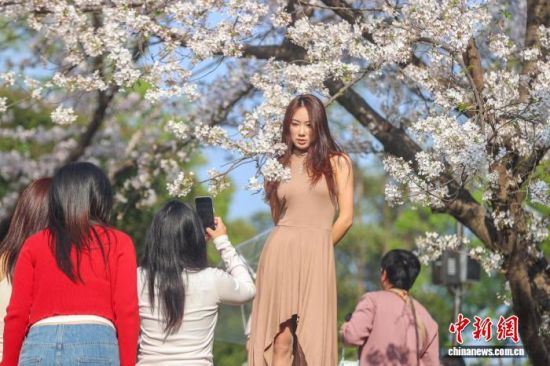 ��������� ������ ��