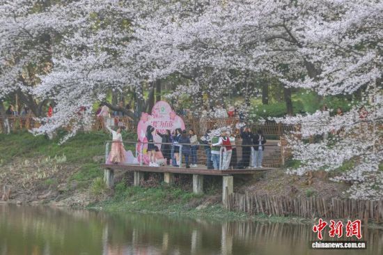 ��������� ������ ��