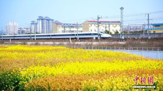 ͼΪ����®ɽ����г���г����߲��Ͳ˻�����ʻ����(����ͼ)�ν��� ��