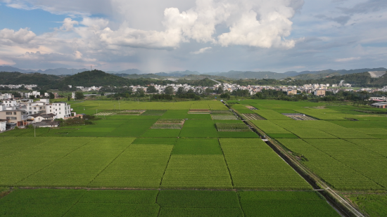 ��Զ�ؿ�������ݴ�߱�׼ũ��